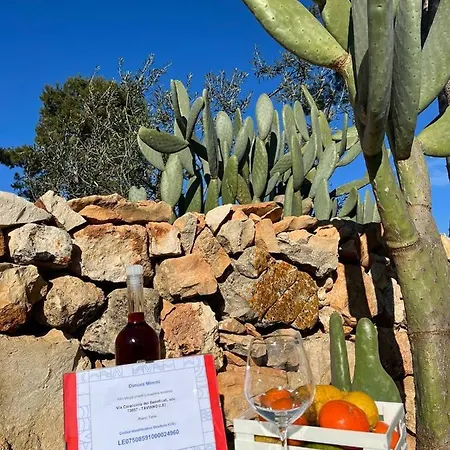 Dimora Mimmi - Gallipoli Marina di Mancaversa